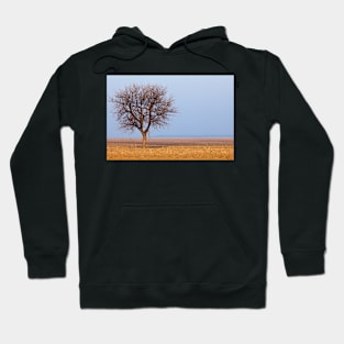 Single tree in plow land Hoodie